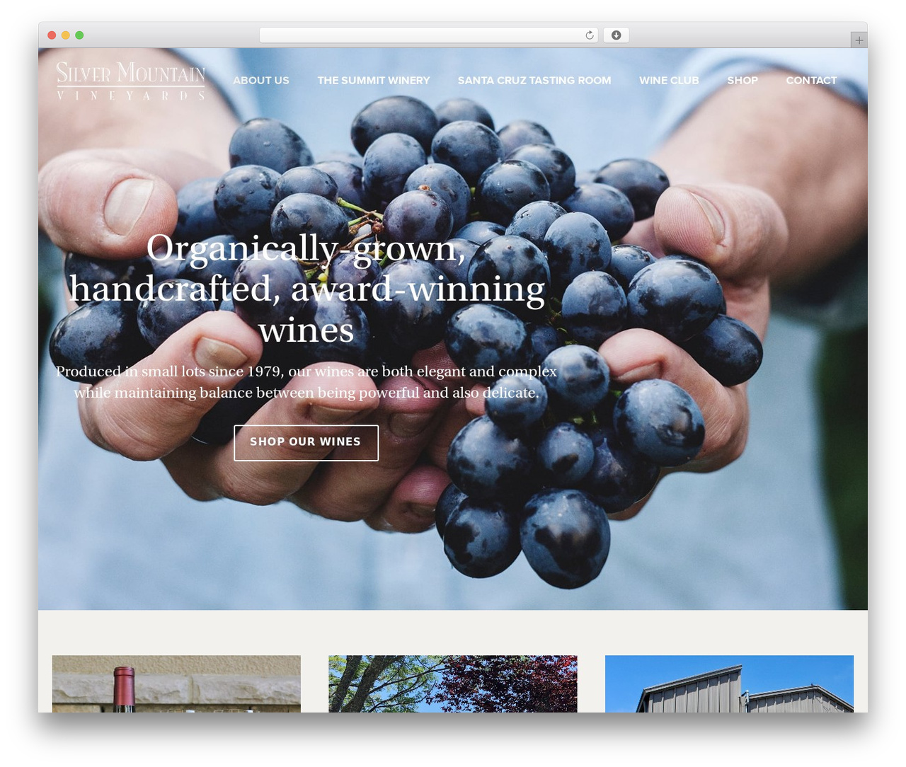 Hello Elementor WordPress theme - silvermtn.com