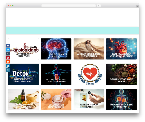 WordPress theme Custom Theme - healthylift.com