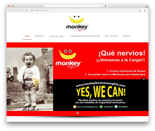 WordPress theme Envision - monkeybusinessenglish.com