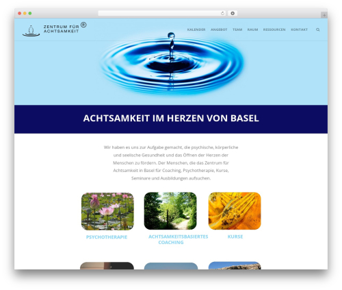 Create premium WordPress theme - zentrum-fur-achtsamkeit.ch