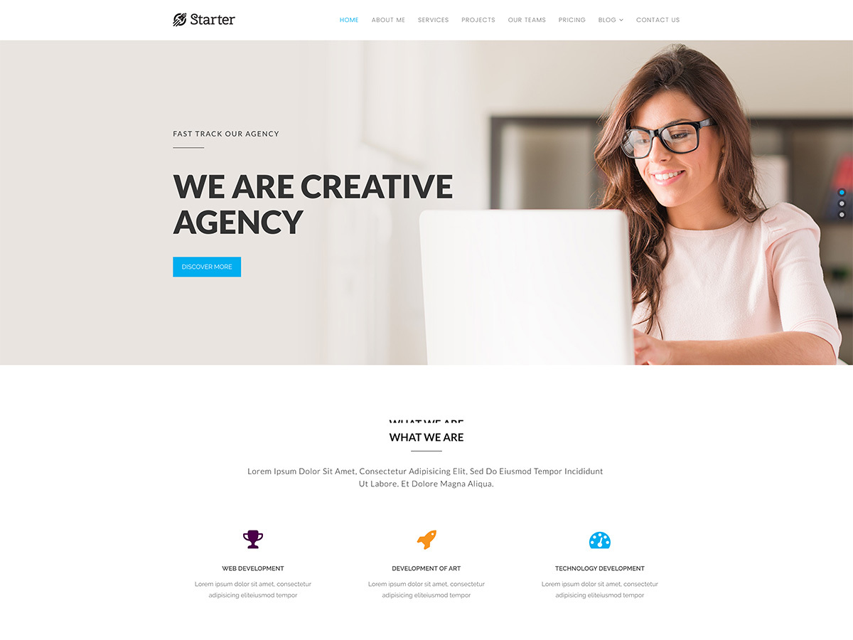 StarterPro WordPress theme StarterPro WordPress theme