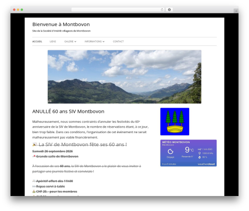 Tiny Framework WordPress free download - montbovon.ch