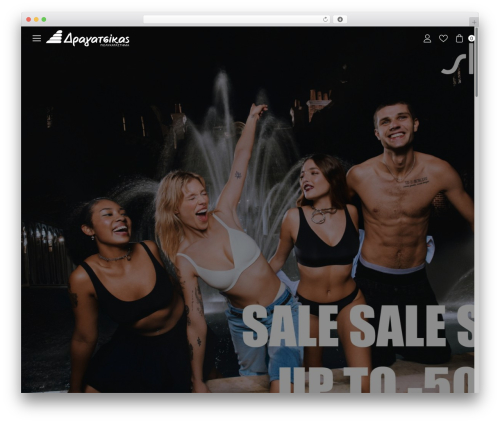 Web Expert - Basic Template WordPress theme design - dragatsikas.gr