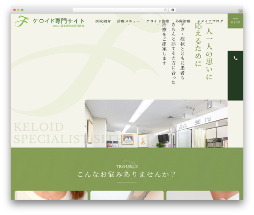 WordPress theme 医療法人 冨士森形成外科医院 - fujimori-keisei.com