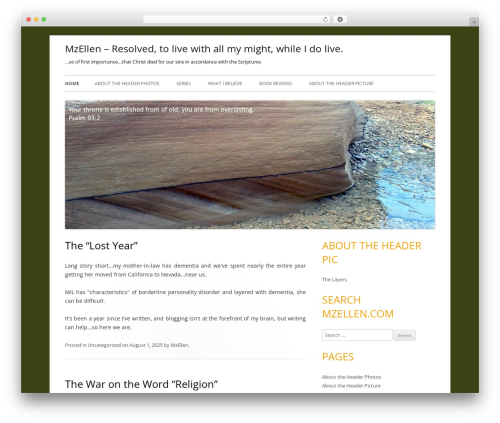 WordPress theme Tiny Forge - mzellen.com