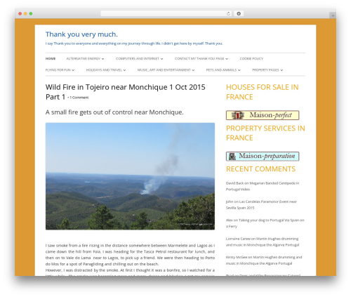WP theme Tiny Forge - mythankyoupage.com