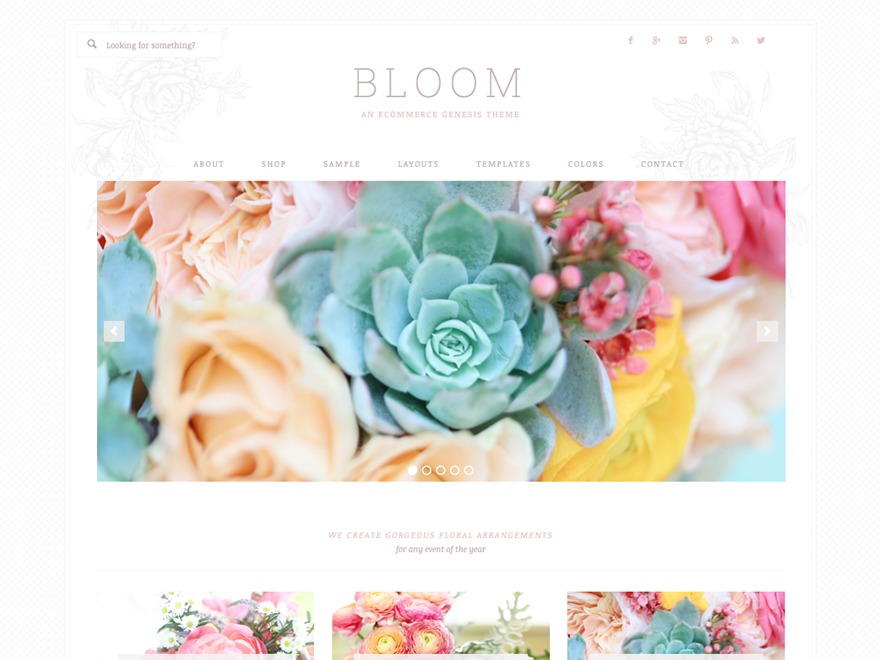 Bloom Theme top WordPress theme Bloom Theme top WordPress theme
