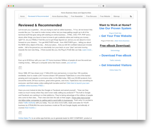Canvas theme WordPress - workfromhomeprosperity.com
