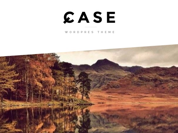 CASE / WordPress theme WordPress page theme by GoGetThemes