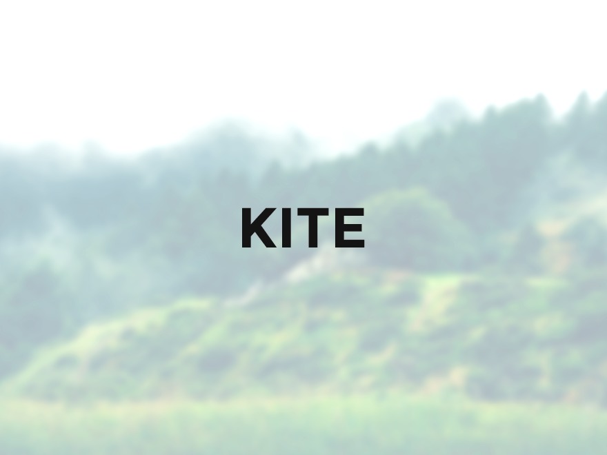 Kite WordPress theme by EckoThemes