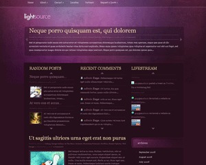 LightSource top WordPress theme by Elegant Wordpress Theme