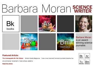 Moran WordPress theme