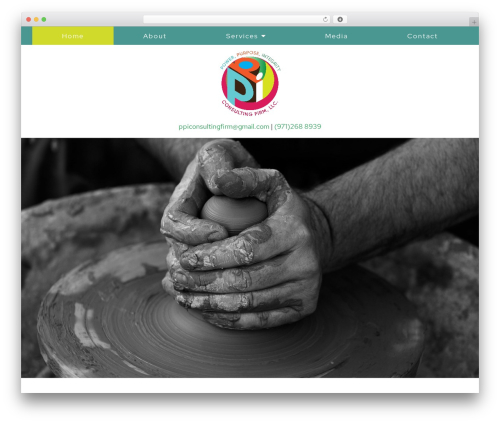 Theme WordPress Megatheme - ppiconsultingfirm.com