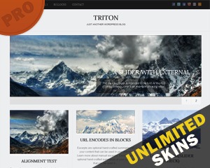 Theme WordPress Triton PRO by Towfiq I.