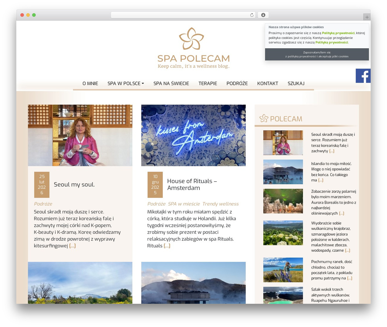 WordPress theme Angular CLI - spa-polecam.pl