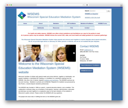 WordPress theme Skeleton - wsems.us