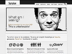 WP theme WordPress Survive theme WP theme WordPress Survive theme