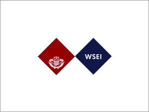WSEI WordPress theme WSEI WordPress theme