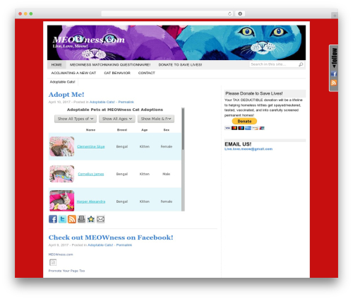 Basically WordPress theme - meowness.com Basically WordPress theme - meowness.com