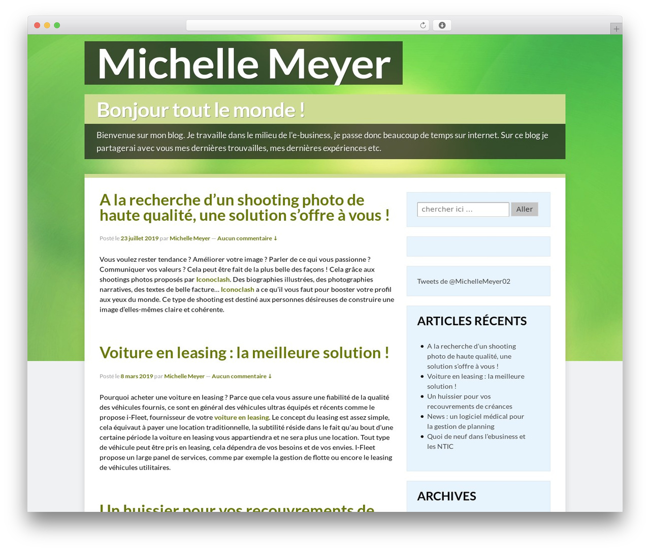 Canonical WordPress theme design - michellemeyer.com