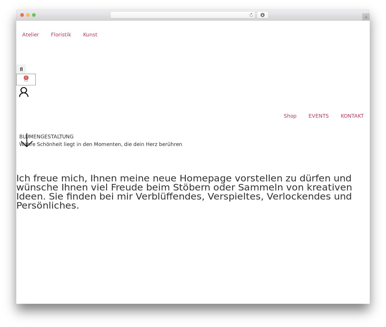 D4D Theme theme WordPress - artefiori.ch