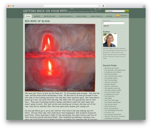 Devart WordPress theme - michelleparsons.com