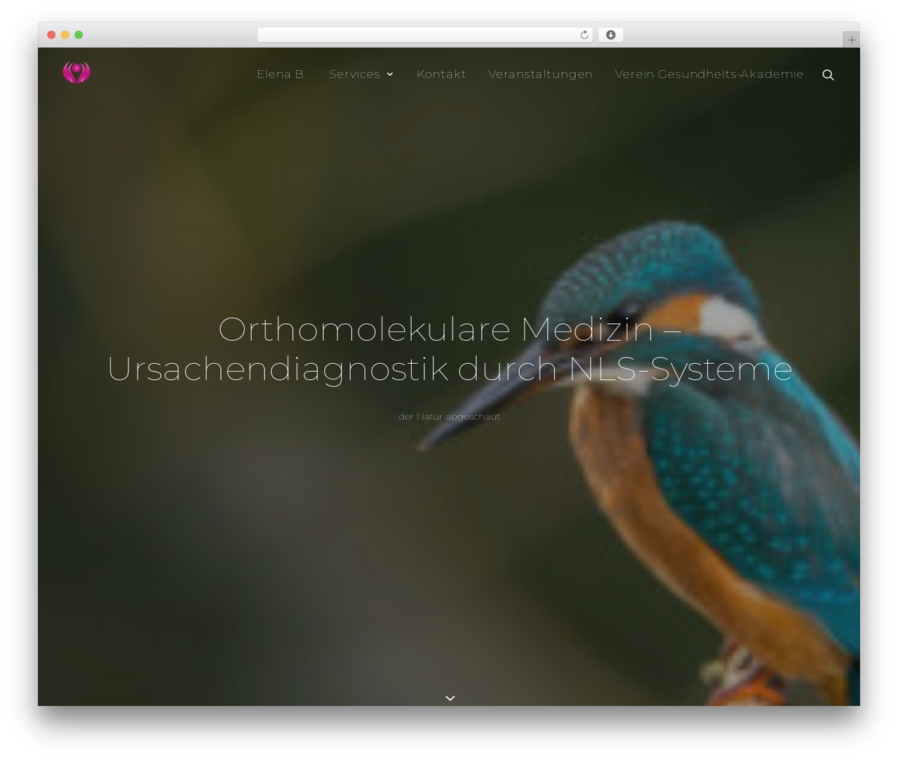 Theme WordPress Uncode - der-natur-abgeschaut.ch Theme WordPress Uncode - der-natur-abgeschaut.ch