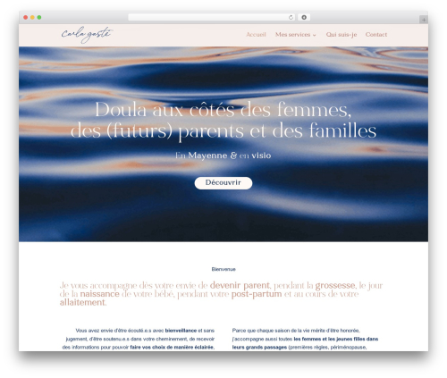 Theme WordPress Divi - carlagaste.fr