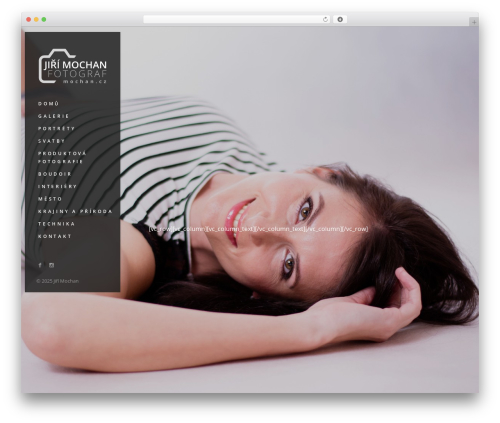 TopPic WordPress theme - mochan.cz