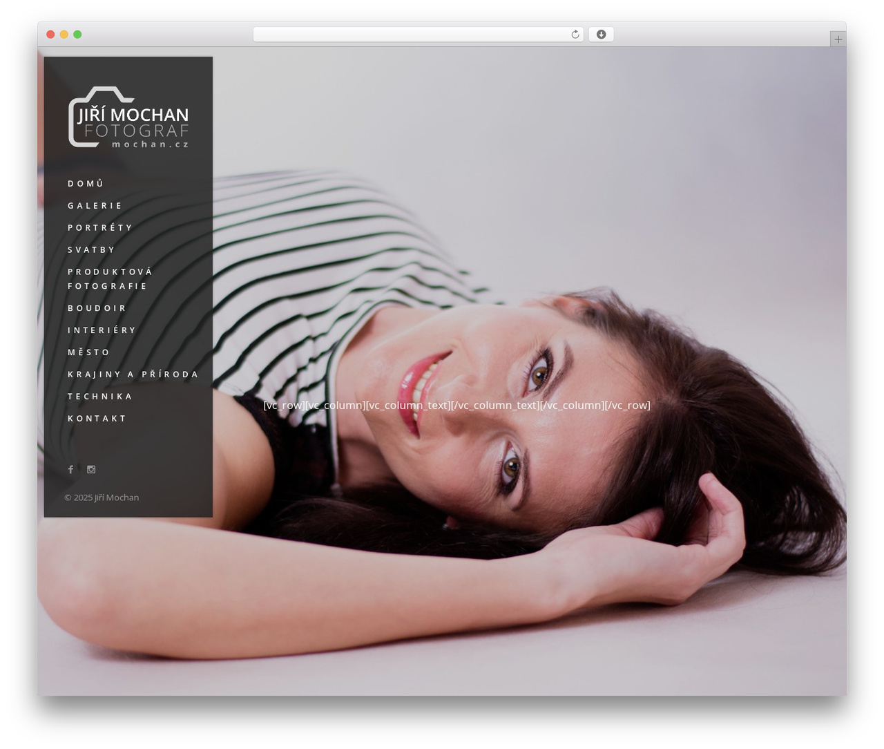 TopPic WordPress theme - mochan.cz