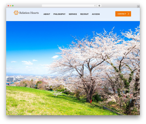 Tcd workflow WordPress plugin - relation-hearts.com