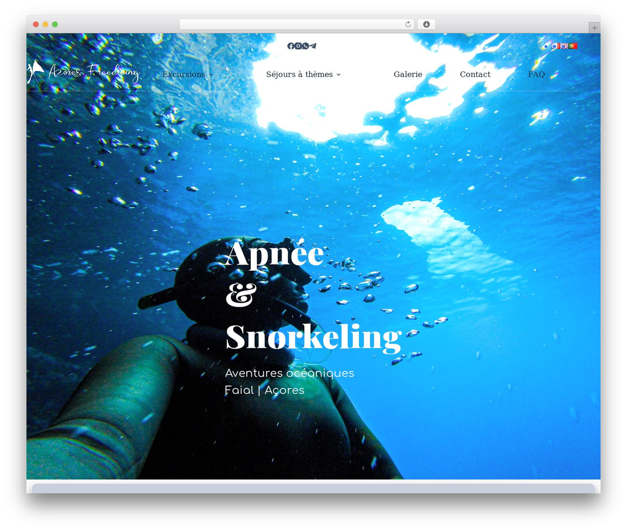 Blocksy WordPress theme - azoresfreediving.com Blocksy WordPress theme - azoresfreediving.com