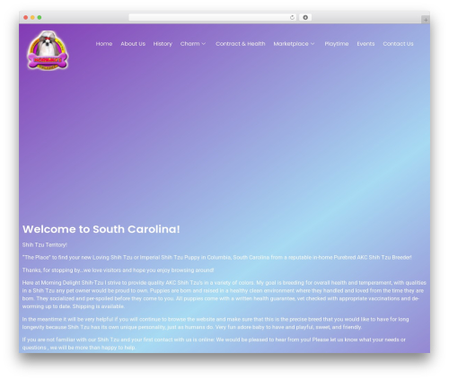 Slider revolution master WordPress plugin - morningsdelight.com