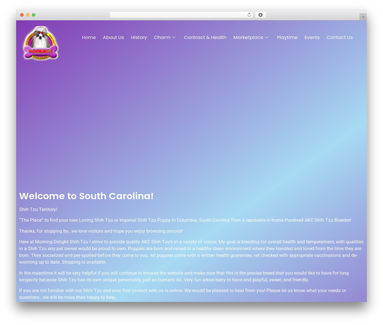 Hello Elementor theme WordPress - morningsdelight.com Hello Elementor theme WordPress - morningsdelight.com