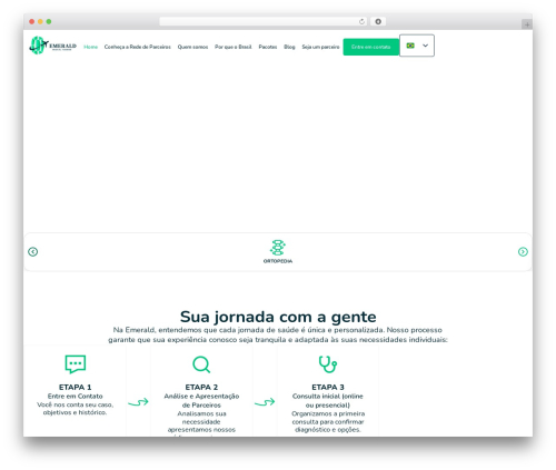 Softlite io integration WordPress plugin - emeraldmedicaltourism.com
