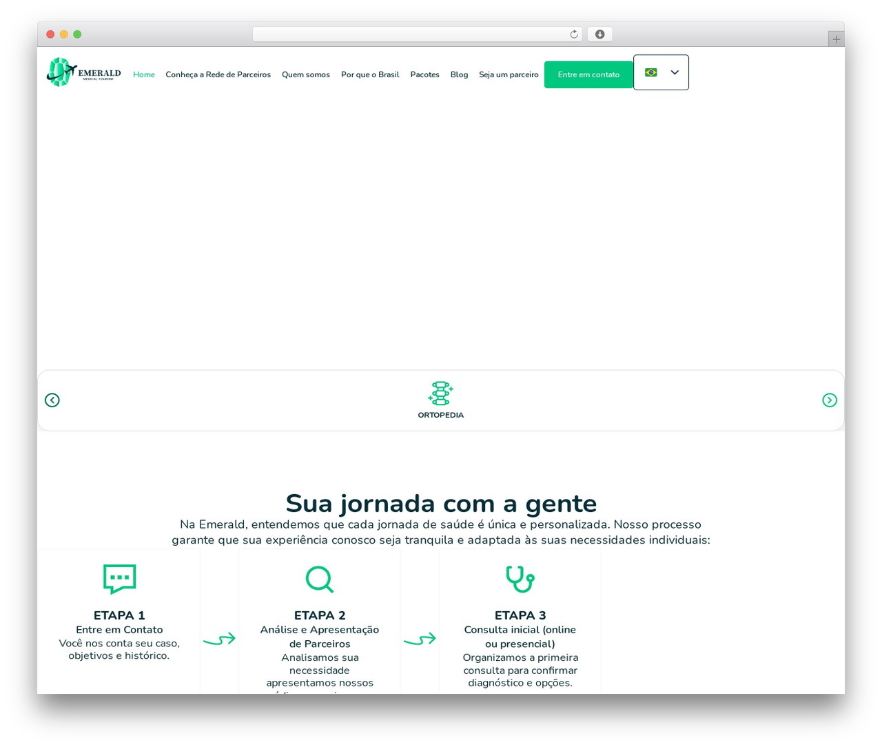 Hello Elementor WordPress theme - emeraldmedicaltourism.com