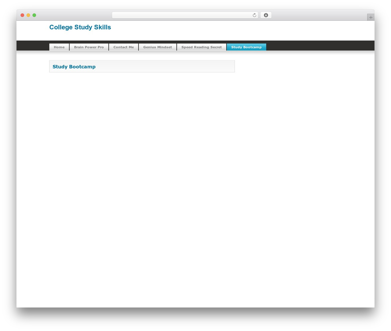 Silver Light WordPress theme - college-study-skills.com