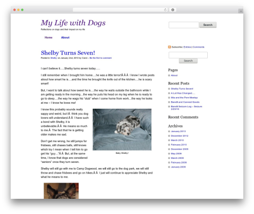 simpleX best WordPress theme - mylifewithdogs.com