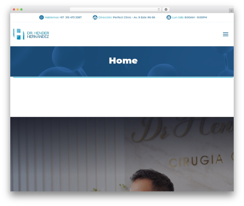 WordPress theme Holamed - henderhernandez.com