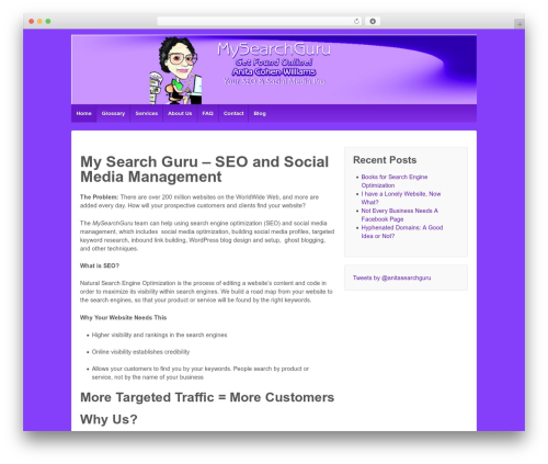 Responsive Pro WordPress blog theme - mysearchguru.com