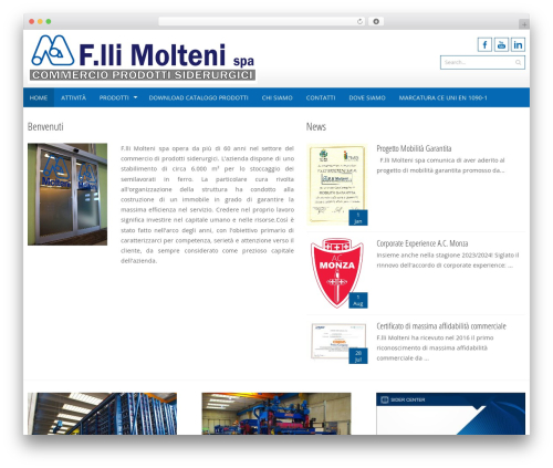 Theme WordPress Accesspress Pro - moltenifratelli.it
