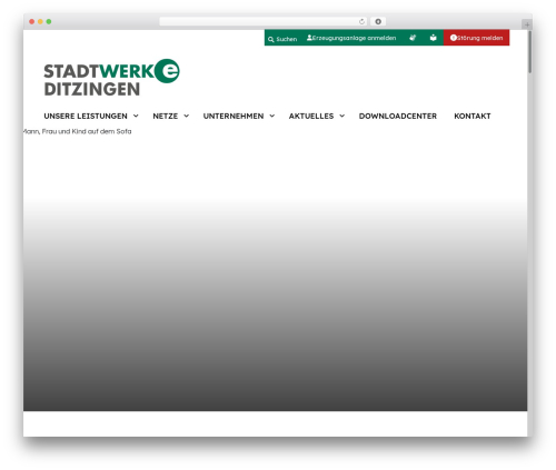 Repeater for contact form 7 WordPress plugin - sw-ditzingen.de