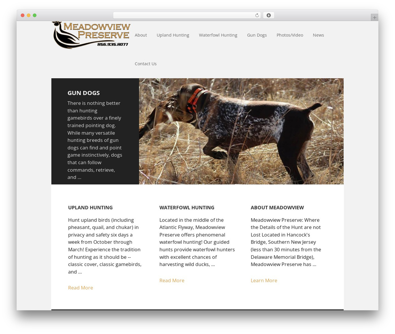 Executive Pro Theme premium WordPress theme - meadowviewpreserve.com Executive Pro Theme premium WordPress theme - meadowviewpreserve.com