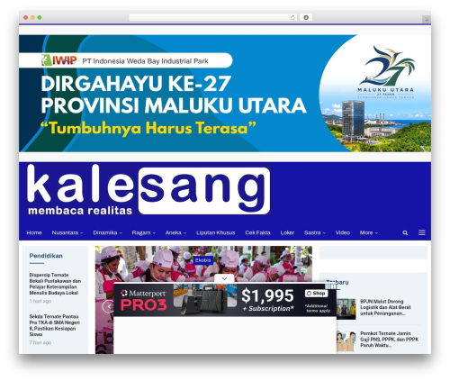 Better google custom search WordPress plugin - kalesang.id