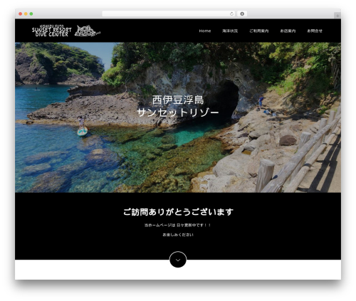 Switch WP theme - divingumiushi.com
