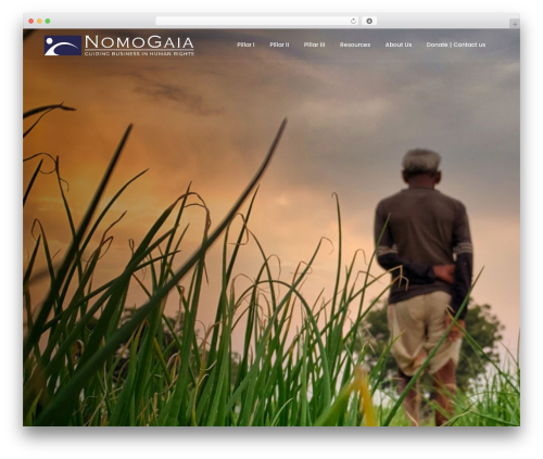 Litho addons WordPress plugin - nomogaia.org