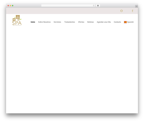 Aislin plugin WordPress plugin - spaskinpro.com