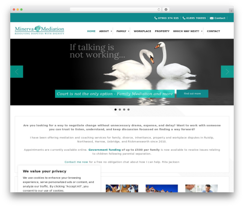 WordPress website theme Absolute - minervamediation.com