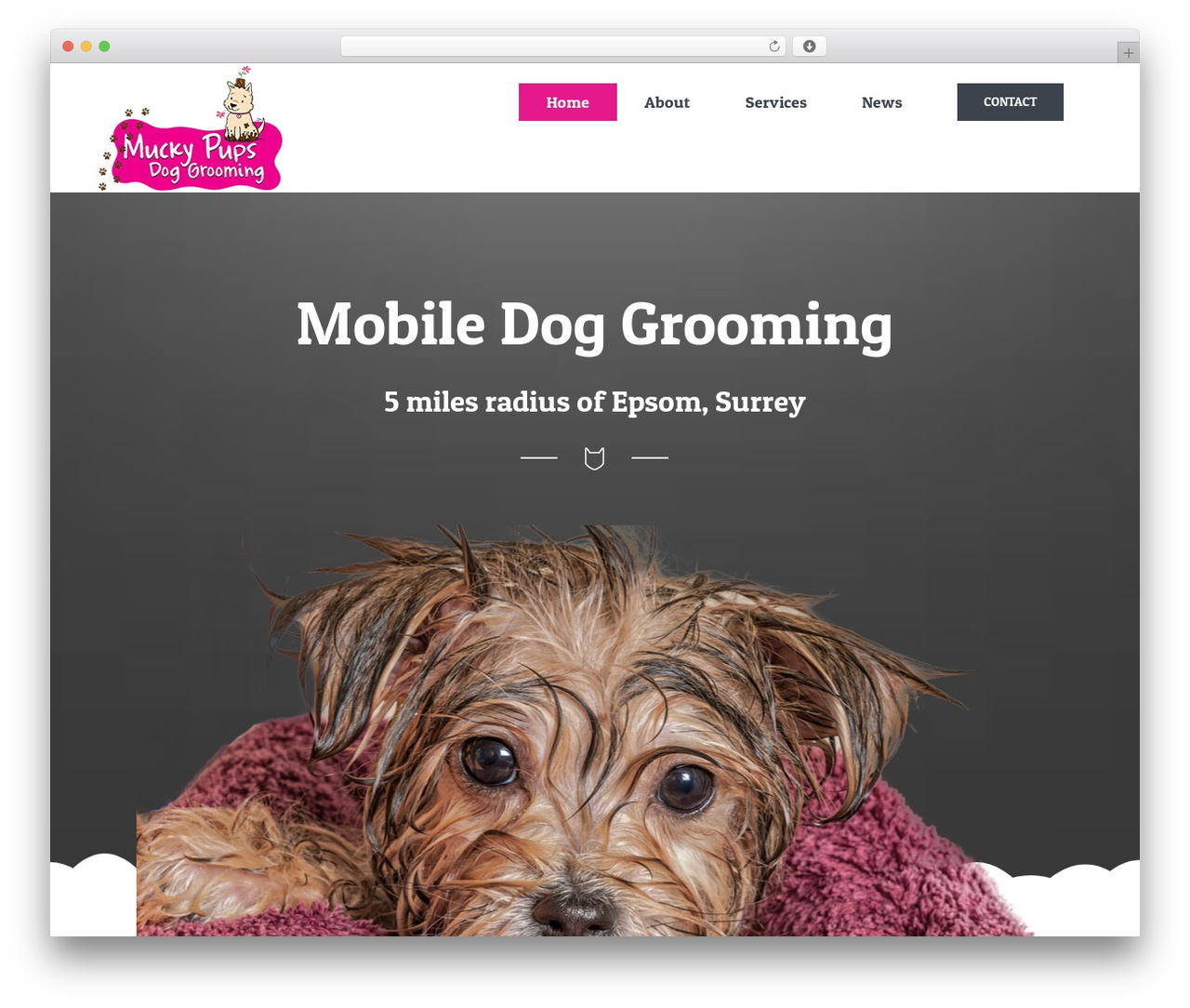 Avada WordPress theme - muckypupsgrooming.co.uk