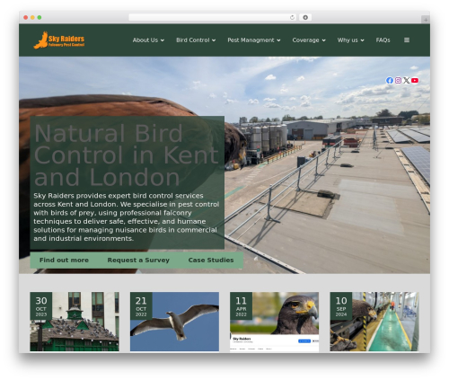 CitadelaWP top WordPress theme - skyraiders.co.uk
